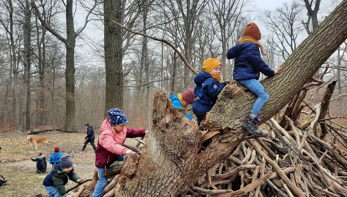 © Sebastian Grumbrecht