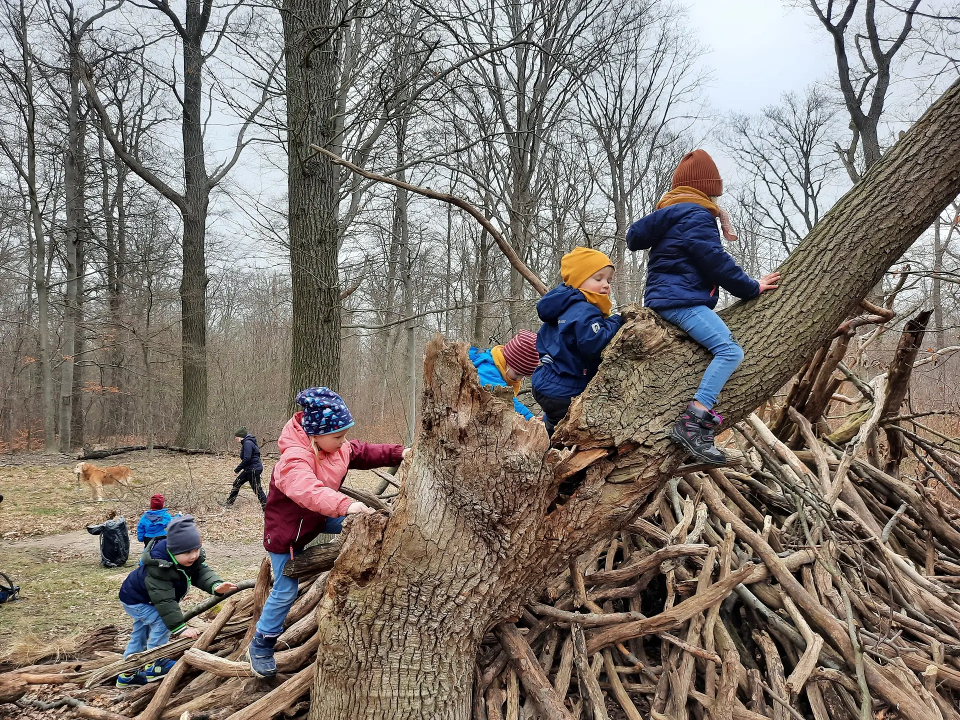 © Sebastian Grumbrecht