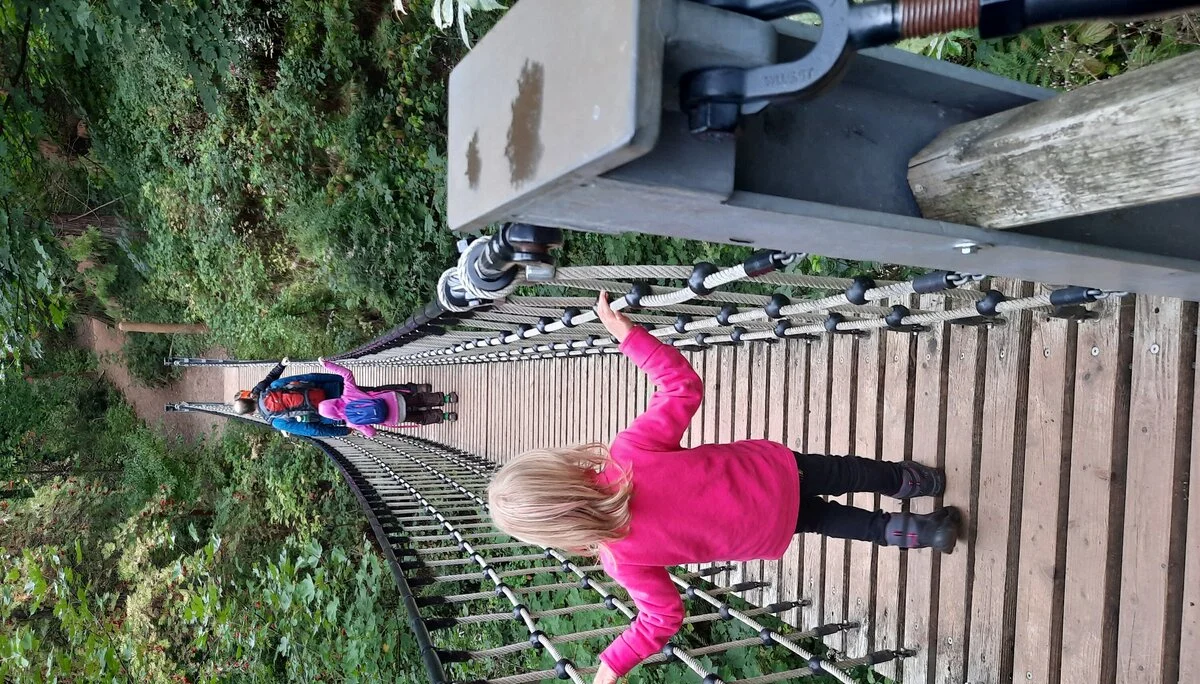 © Sebastian Grumbrecht