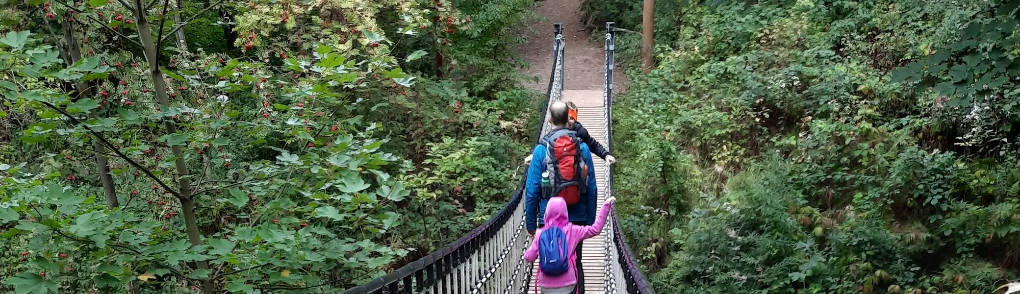 © Sebastian Grumbrecht