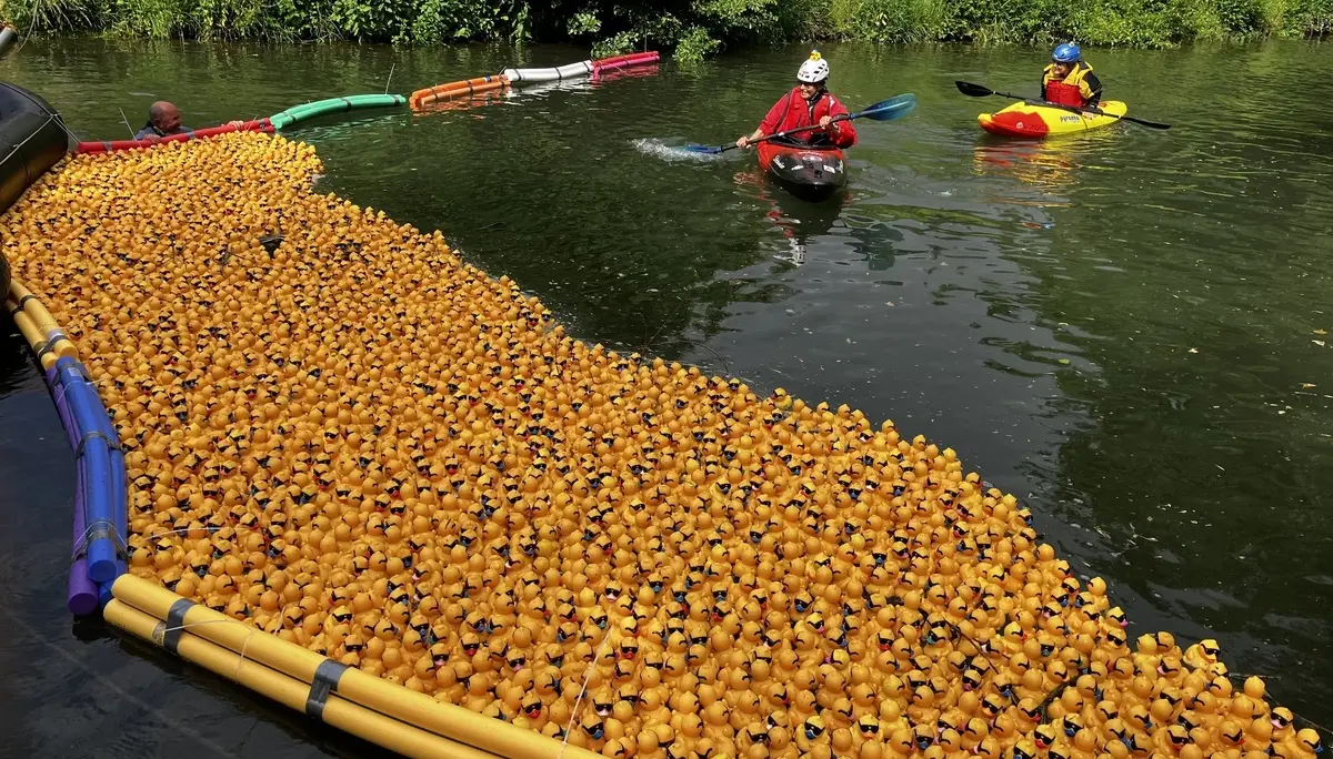 Begleitung der Enten ins Ziel | © Anette Joos
