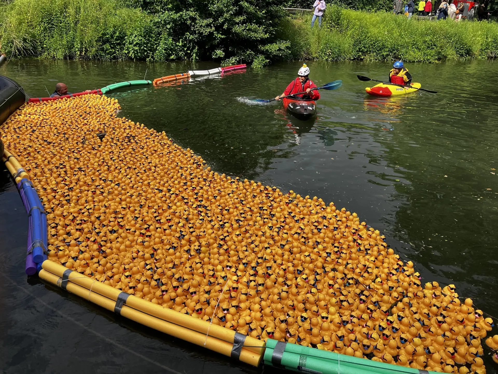 Begleitung der Enten ins Ziel | © Anette Joos
