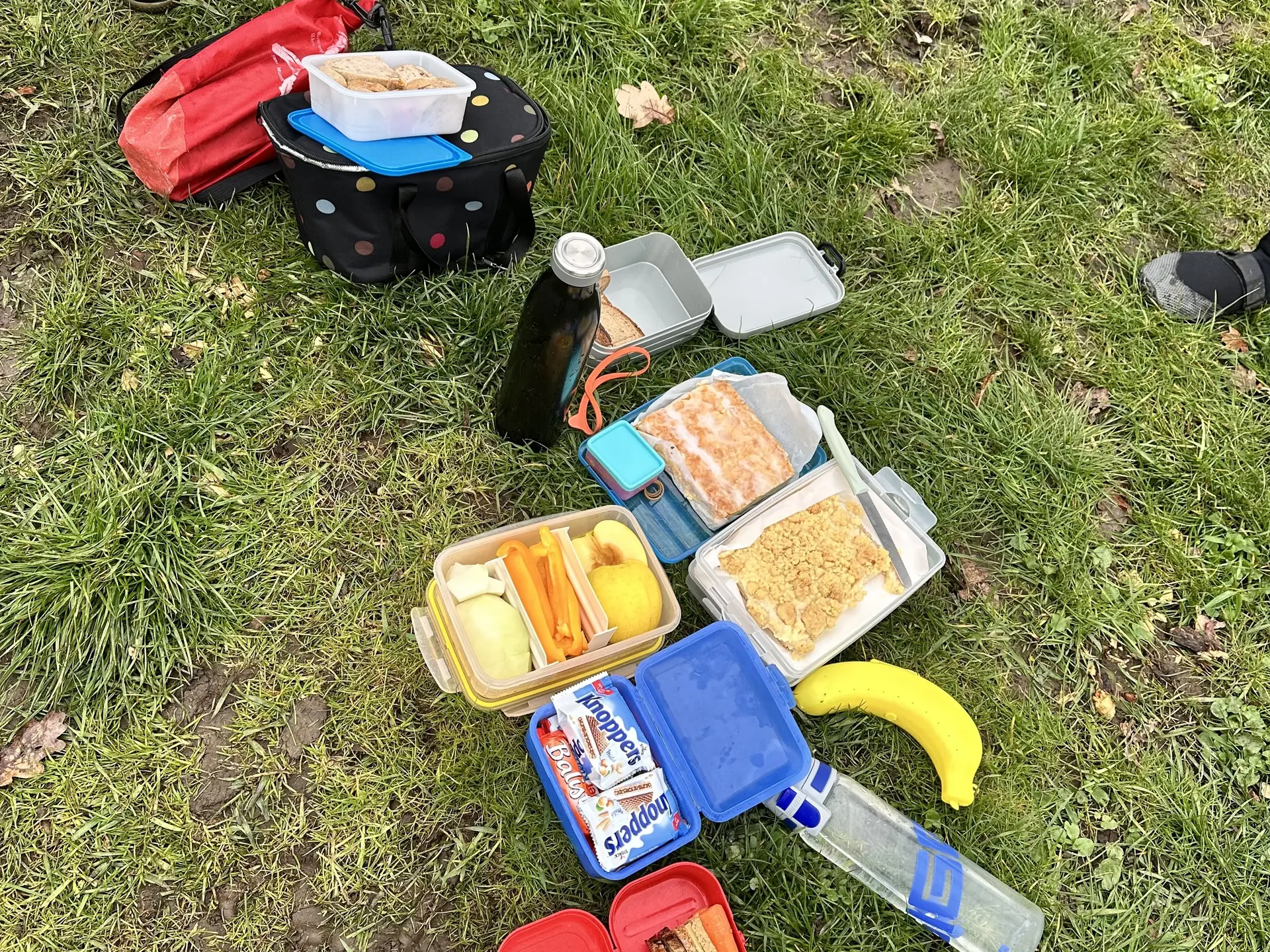 Das Buffet ist eröffnet. | © Miriam Link