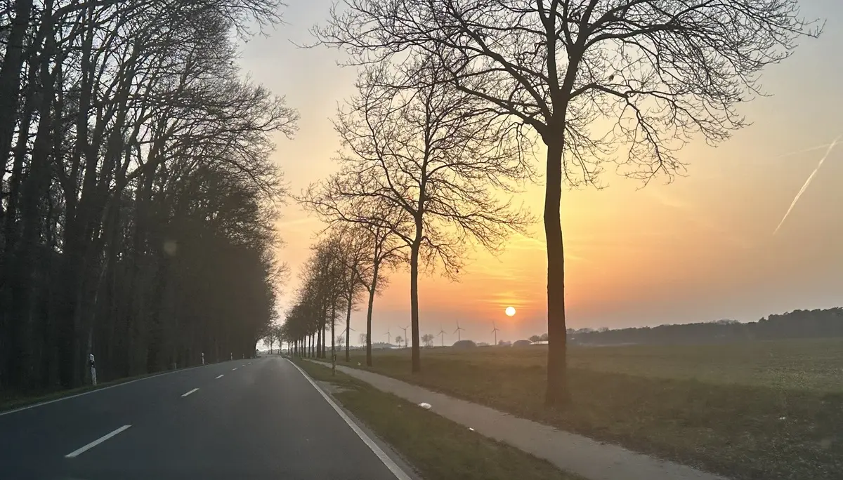 Sonnenuntergang, immer noch Sahara-gestäubt. | © Miriam Link