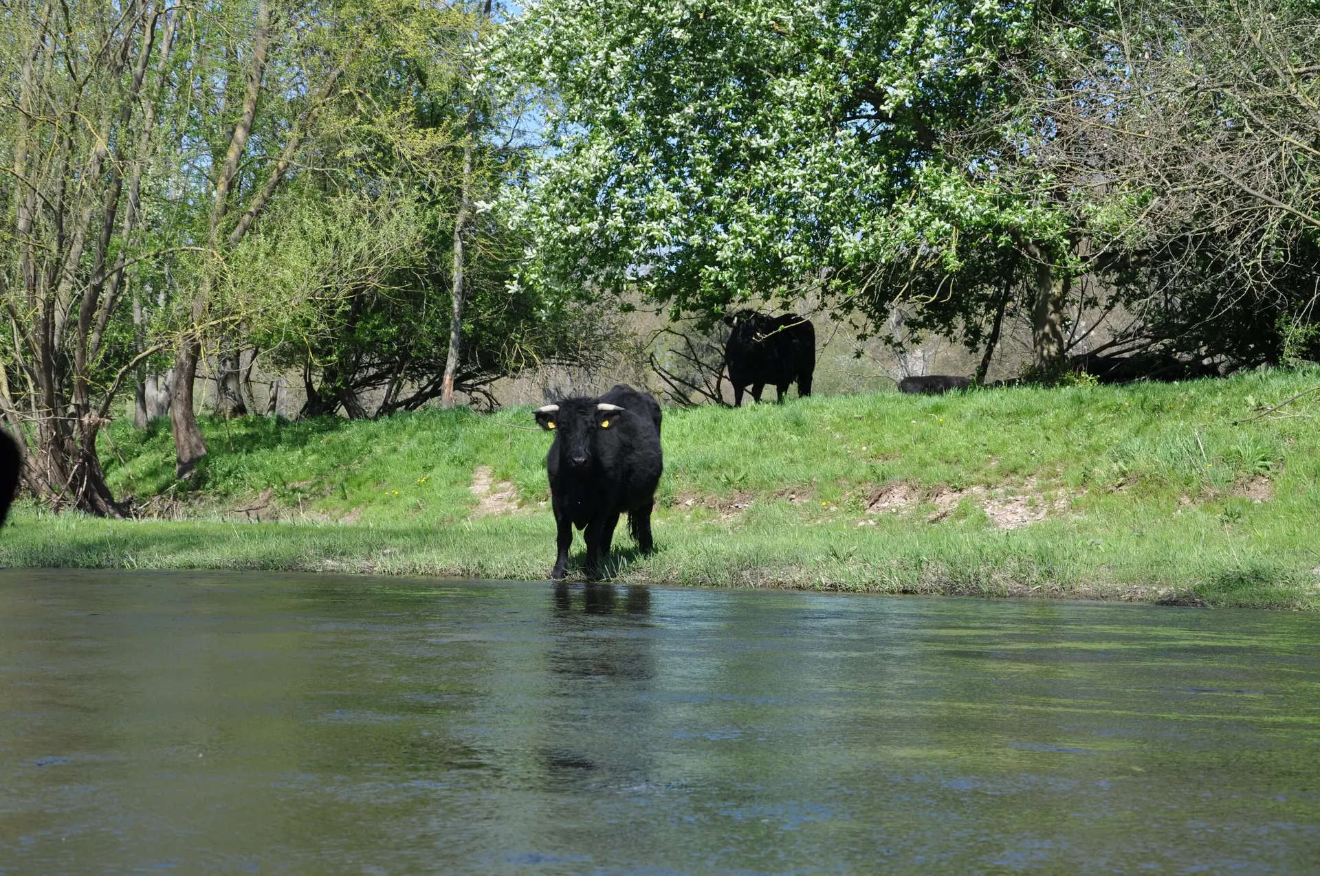     Zuschauer am Ufer  | © Kanugruppe
