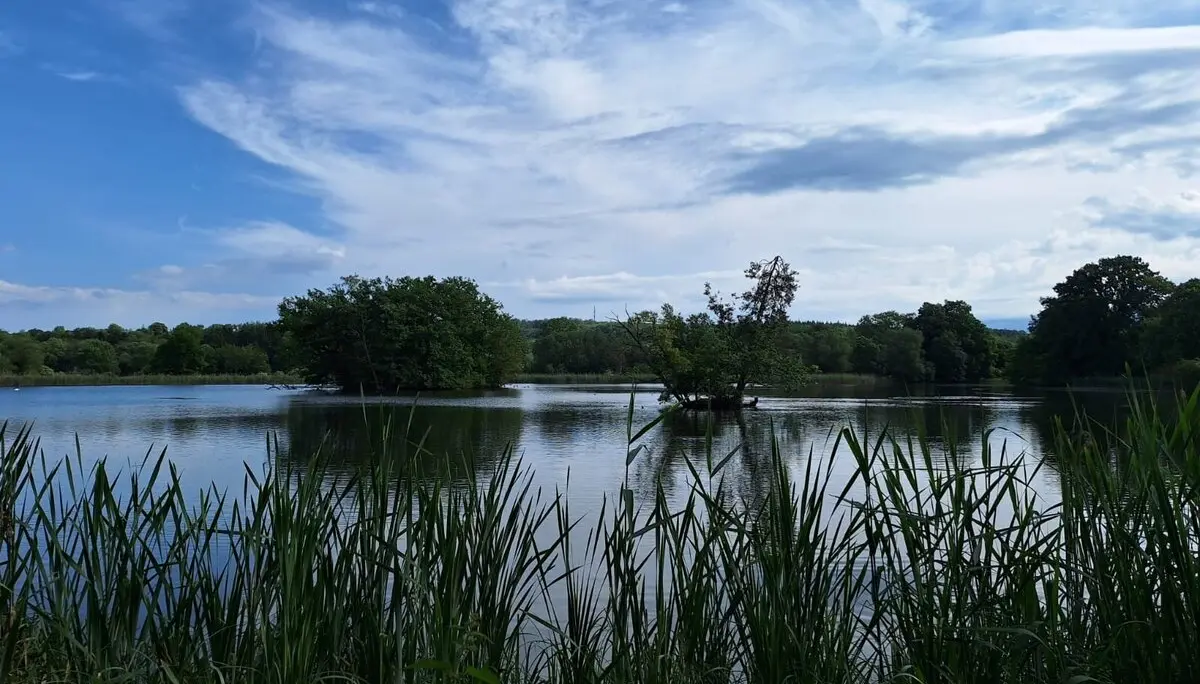 Derneburger Fischteiche | © Sabine Kitzig
