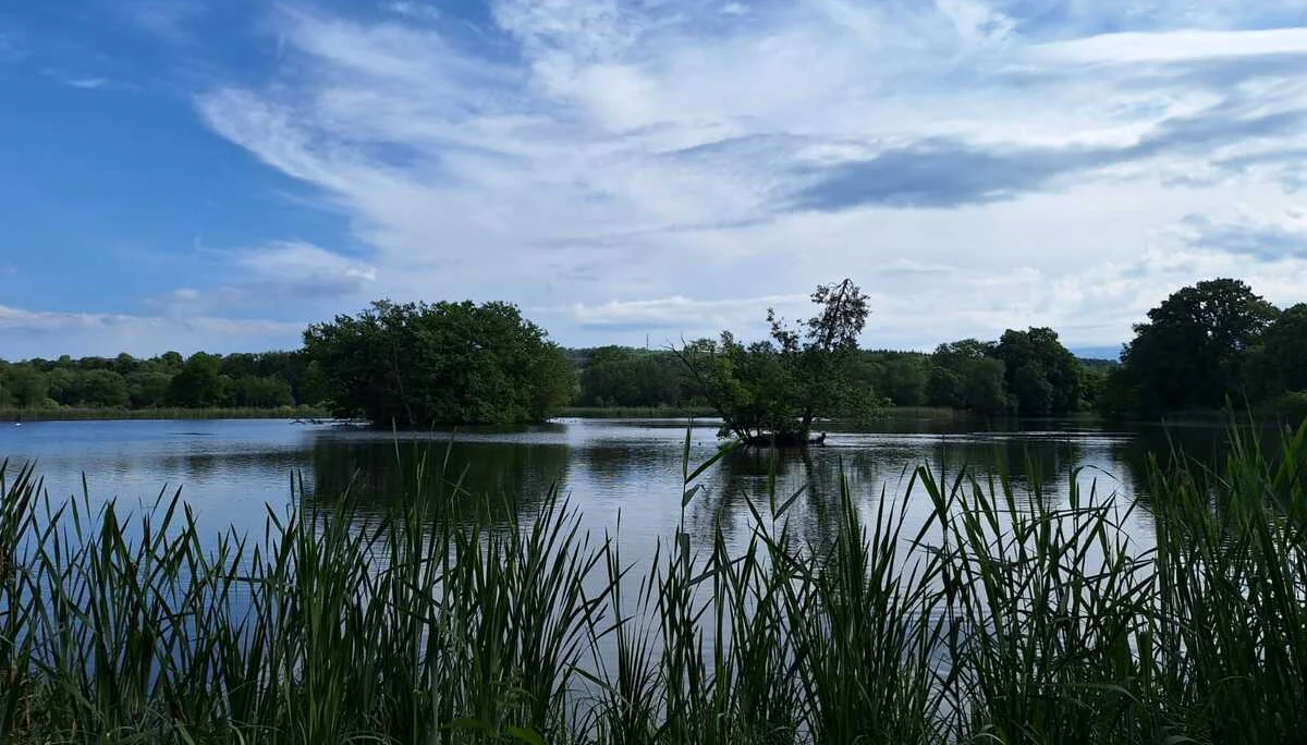 Derneburger Fischteiche | © Sabine Kitzig