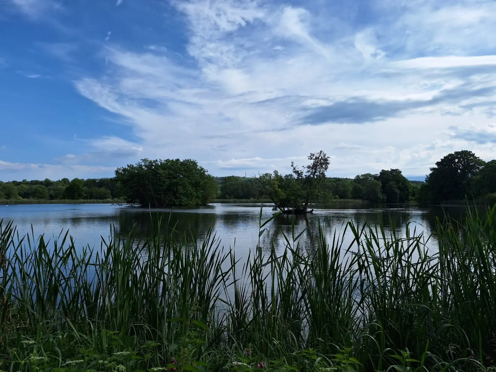 Derneburger Fischteiche | © Sabine Kitzig
