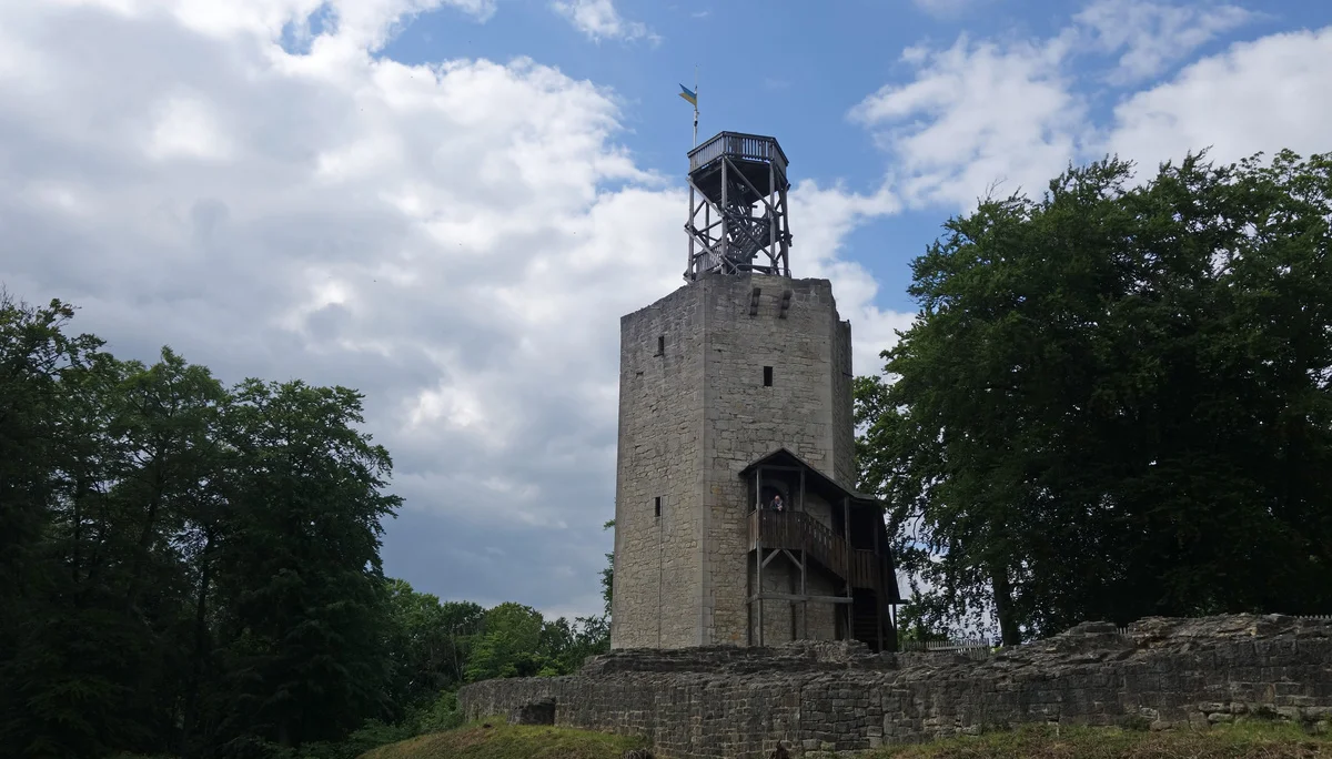 © Bernhard Küster