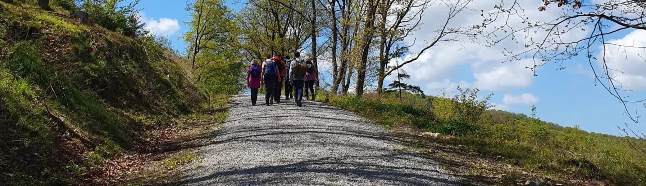 Eine Wandergruppe entfernt sich auf einem Schotterweg | © Astrid Rühmann