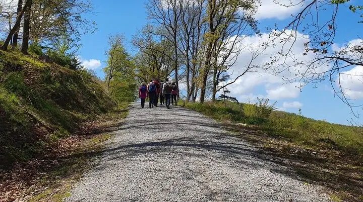 Eine Wandergruppe entfernt sich auf einem Schotterweg | © Astrid Rühmann