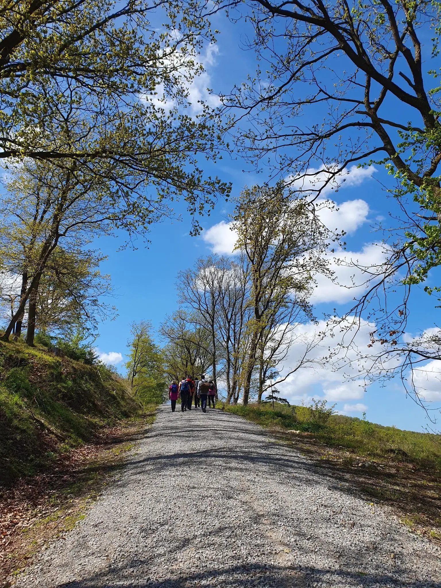Eine Wandergruppe entfernt sich auf einem Schotterweg | © Astrid Rühmann