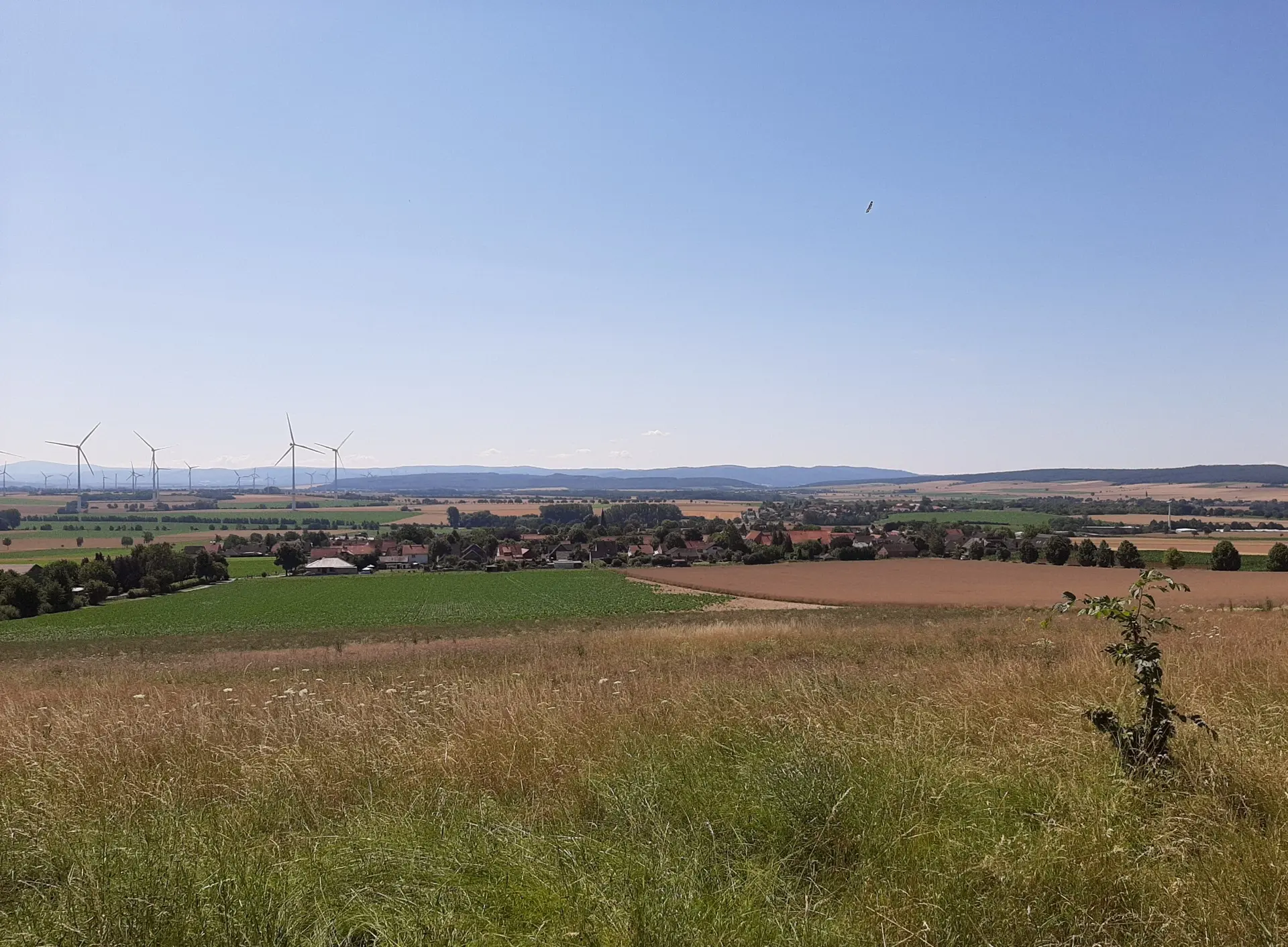 Blick auf Groß Elbe bis in den Harz | © Anette Joos