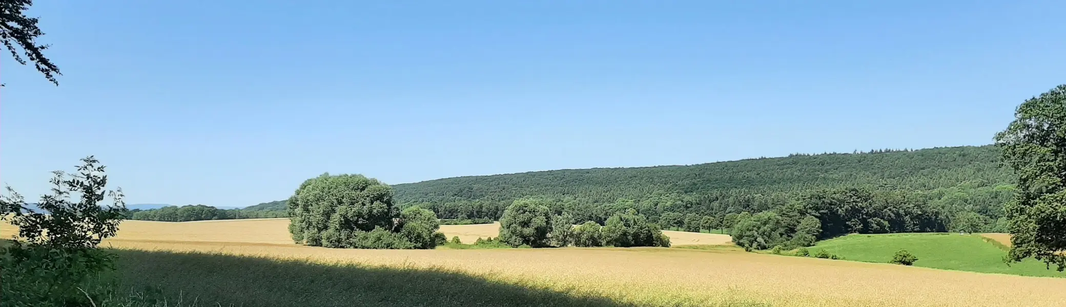 Kornfelder bei Lichtenberg | © Anette Joos