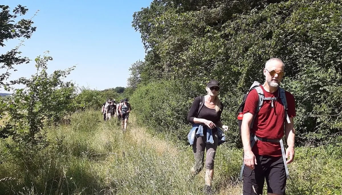 Eine Wandergruppe bewegt sich duch kniehohes Gras. Der Himmel ist wolkenlos. | © nette Joos
