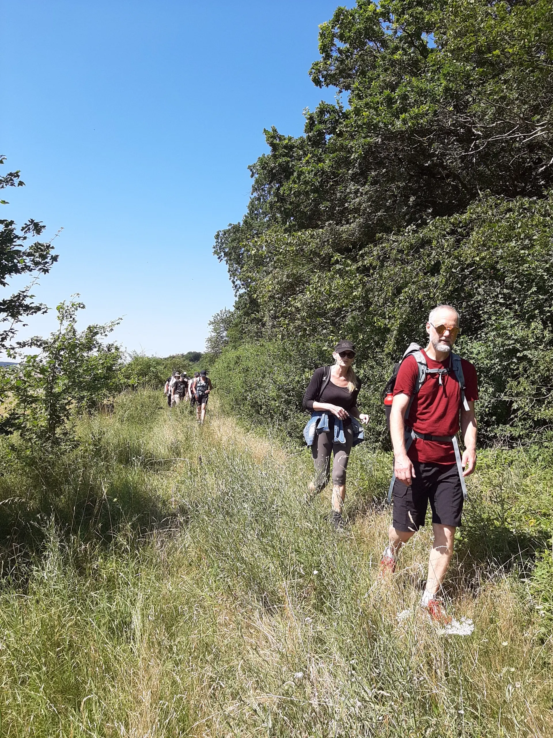 Eine Wandergruppe bewegt sich duch kniehohes Gras. Der Himmel ist wolkenlos. | © nette Joos