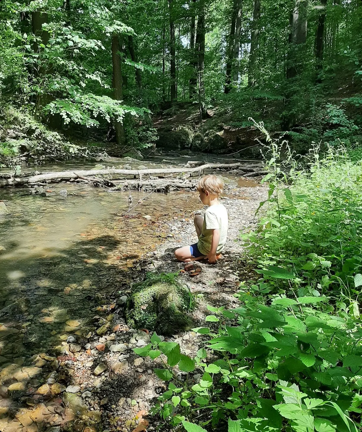 Ein Kind kniet allein an einem Bach im Wald | © Anette Joos