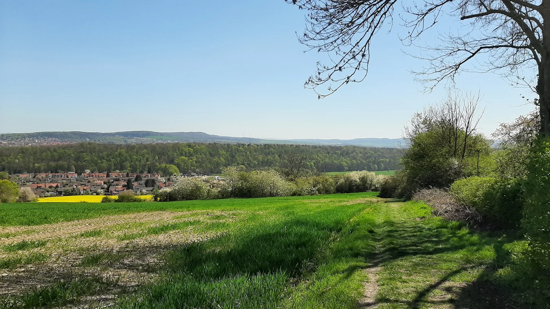 Ein Blick über ein grünes Feld. Dahinter ist ein Rapsfeld zu sehen. Noch weiter hinten Häuser und ein Wald | © Anette Joos