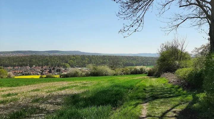Ein Blick über ein grünes Feld. Dahinter ist ein Rapsfeld zu sehen. Noch weiter hinten Häuser und ein Wald | © Anette Joos