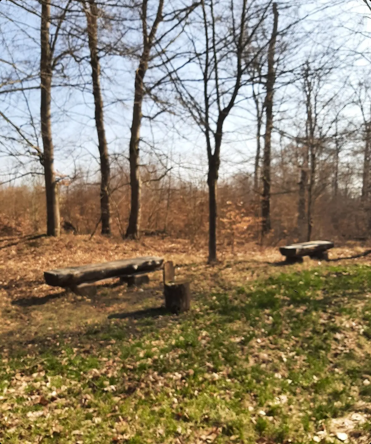 Picknickplatz am Gustedter Berg | © Anette Joos