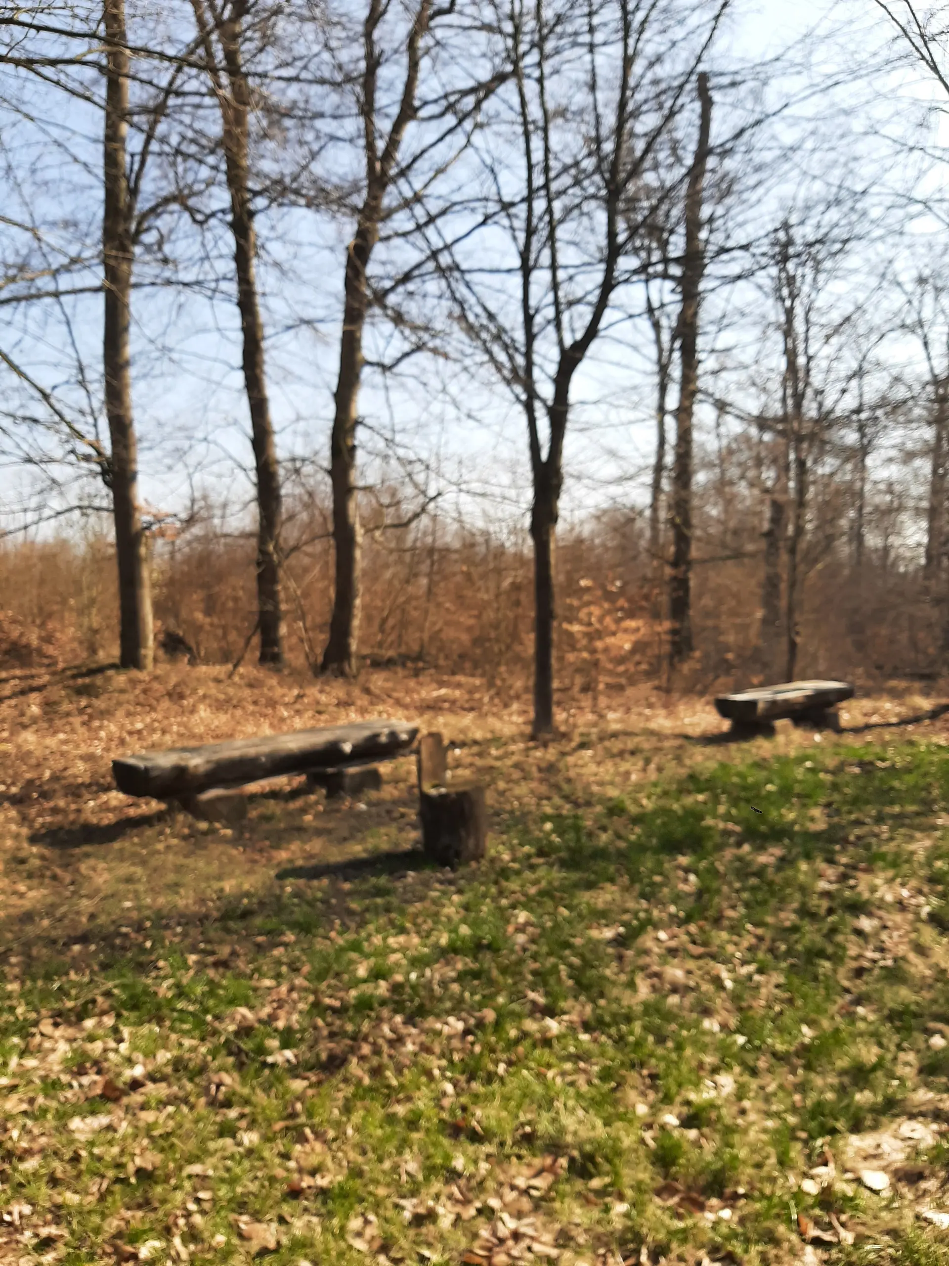 Picknickplatz am Gustedter Berg | © Anette Joos