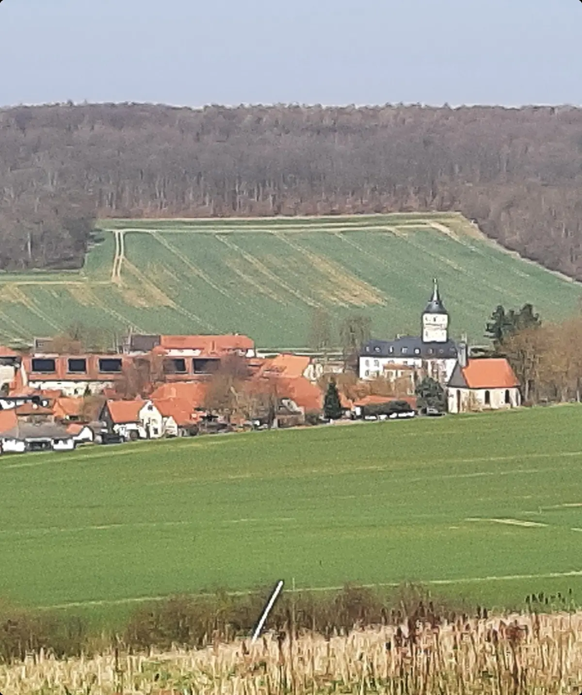 Blick auf Schloss Oelber vom Rasteberg | © Anette Joos
