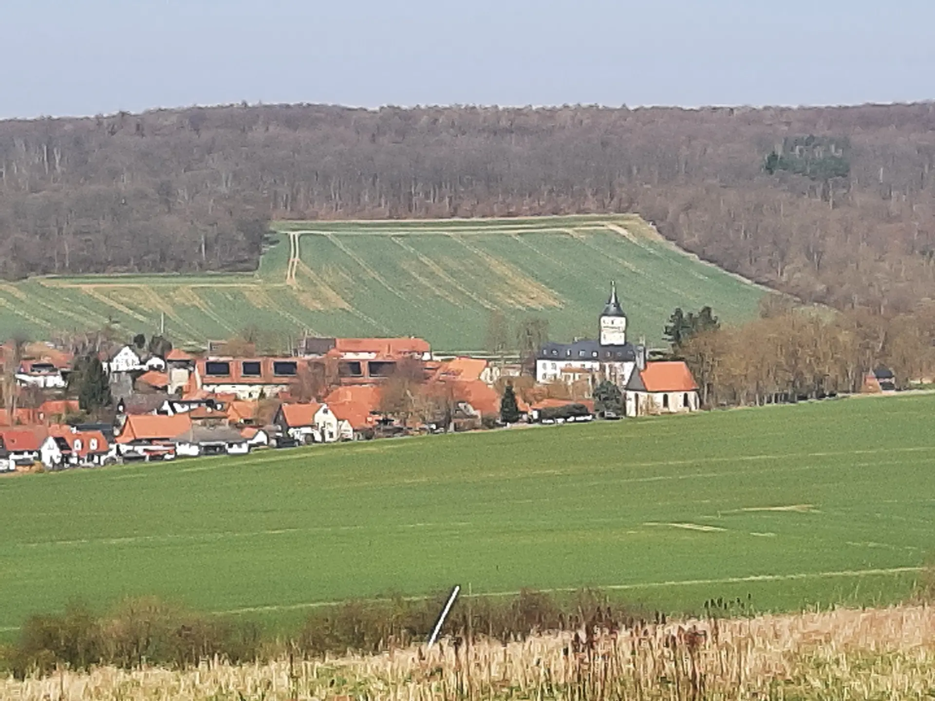 Blick auf Schloss Oelber vom Rasteberg | © Anette Joos