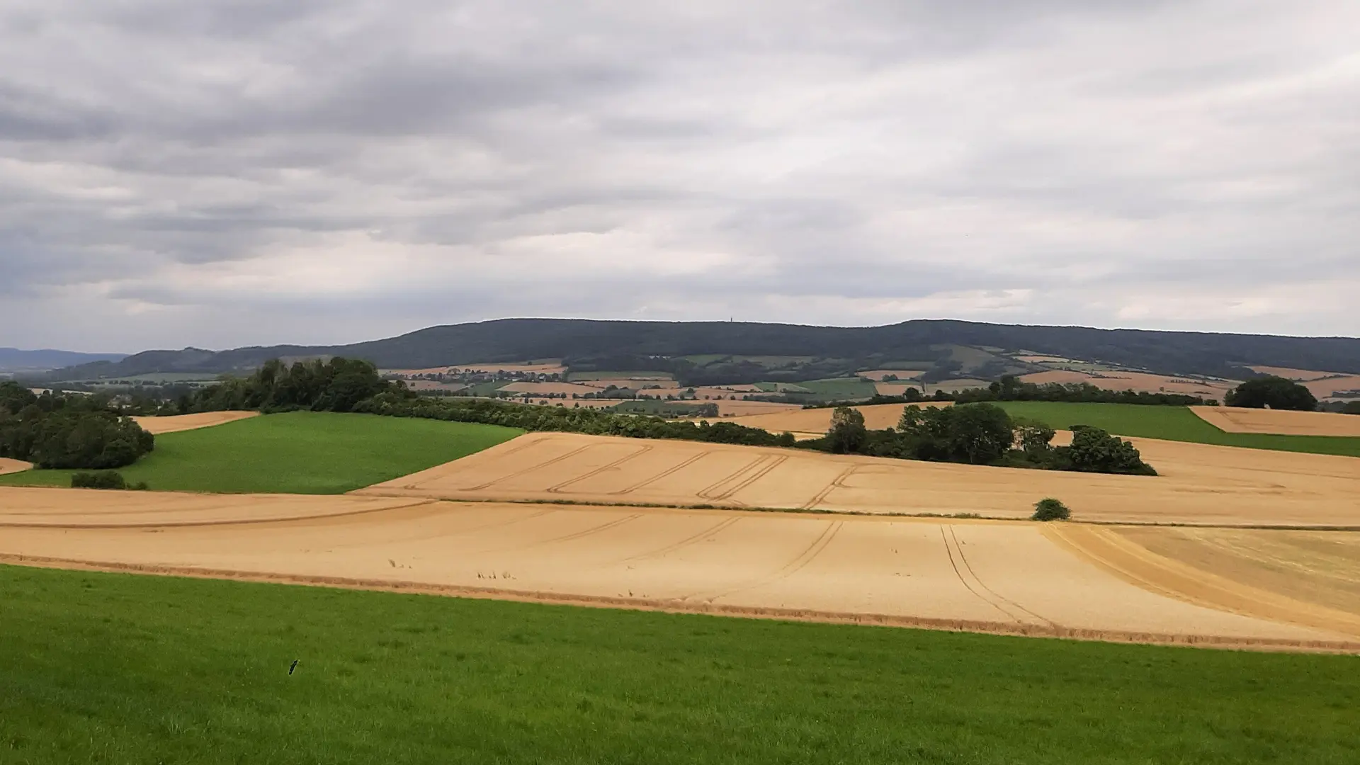 Thüster Berge | © Anette Joos