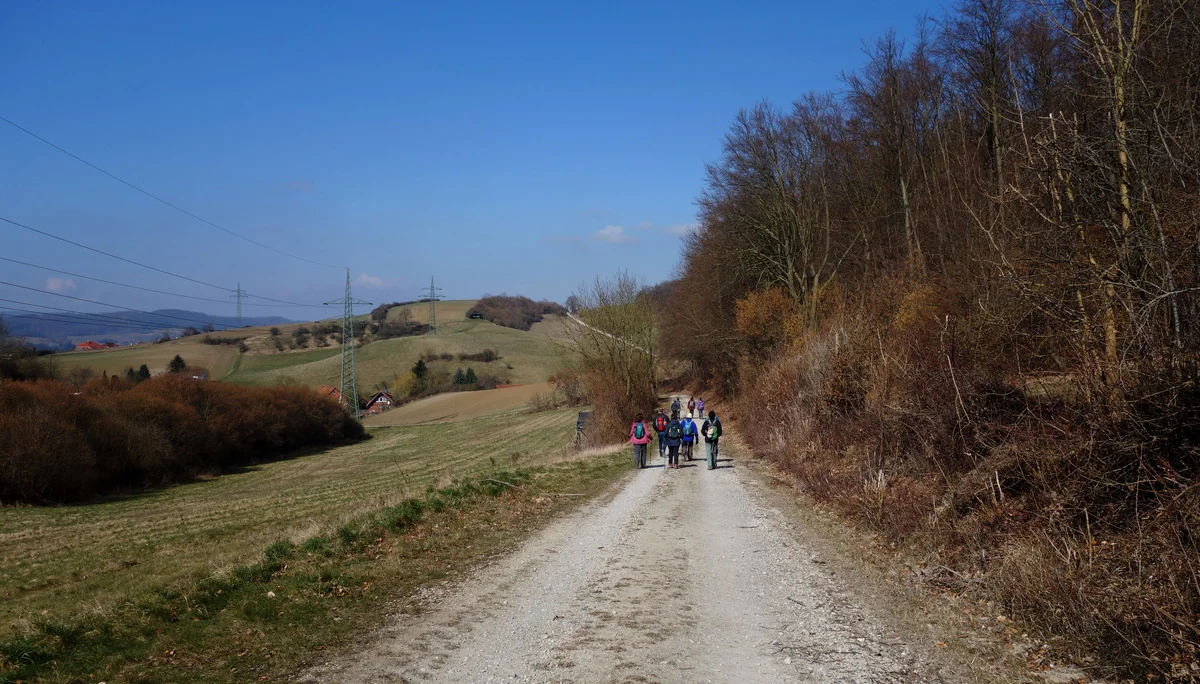 © Bernhard Küster