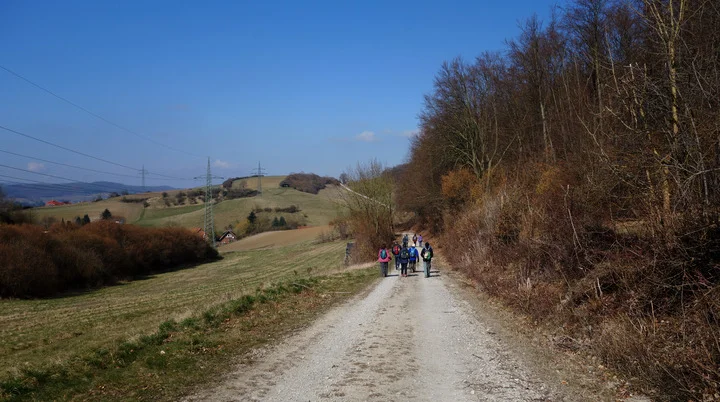 © Bernhard Küster
