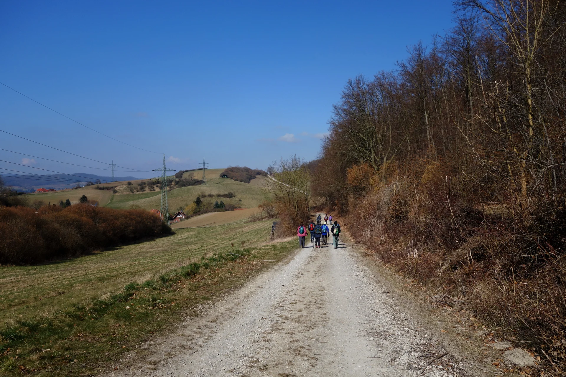 © Bernhard Küster