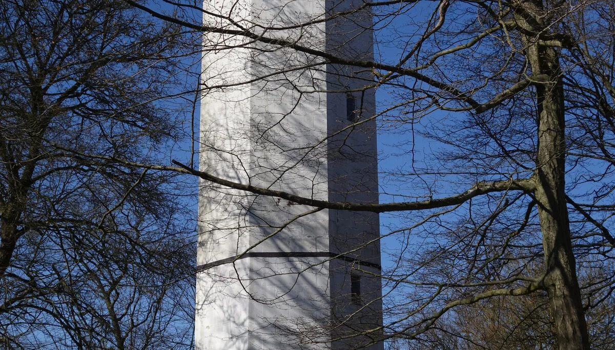 © Bernhard Küster