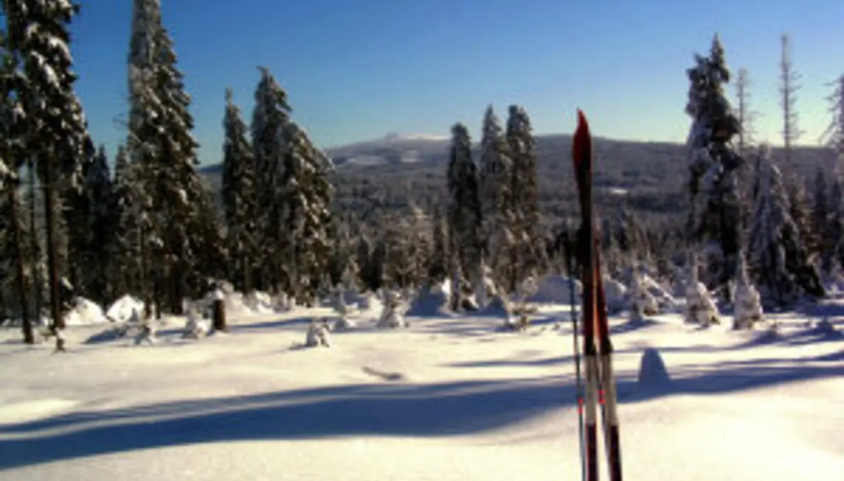 © Klaus Keitel, Heinz Krebs, Patrick Bertram