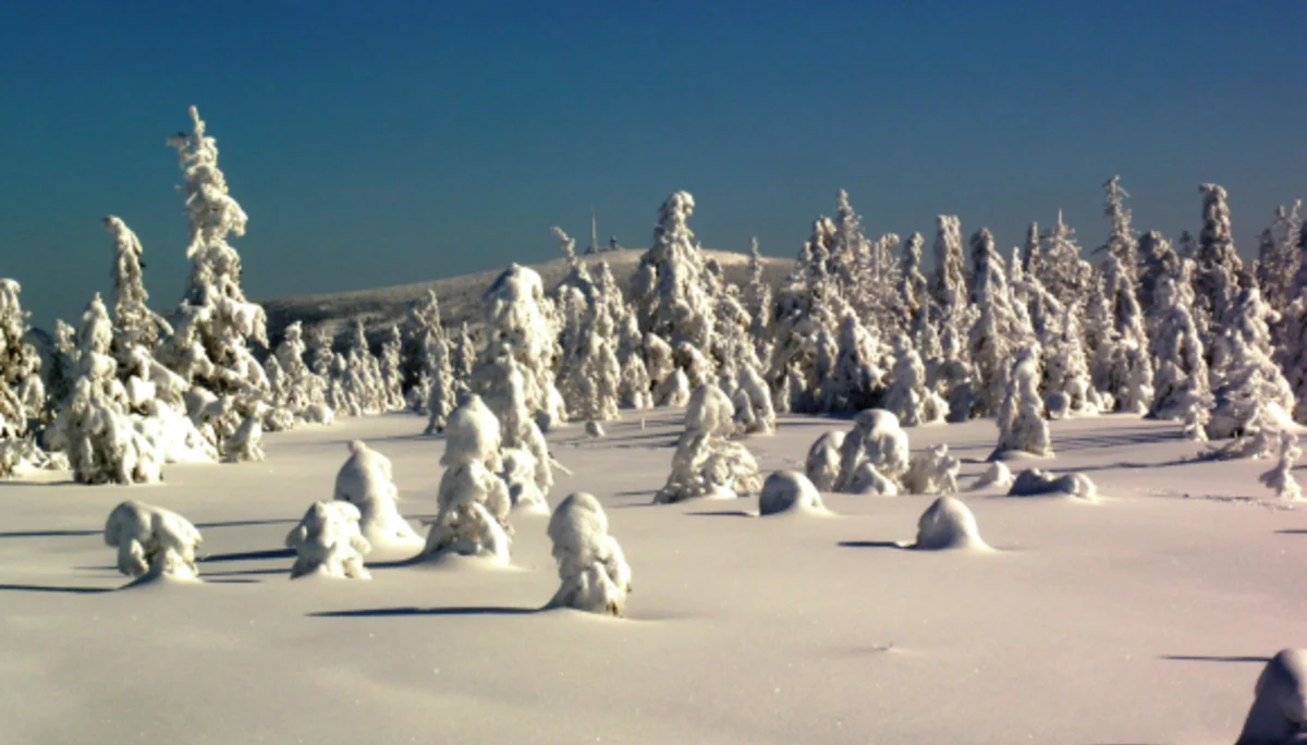 © Klaus Keitel, Heinz Krebs, Patrick Bertram