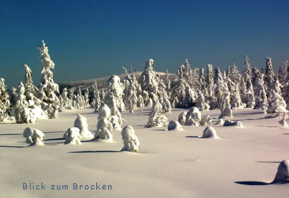 © Klaus Keitel, Heinz Krebs, Patrick Bertram